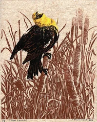 Rohrkolben-Kantate, 2017
