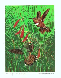 Rufus Pas de Deux, 2016