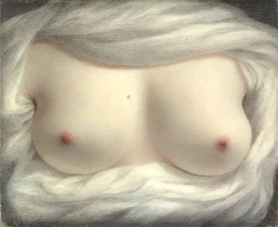 Enthüllte Schönheit, 1828