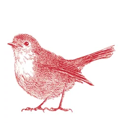 Rotkehlchen