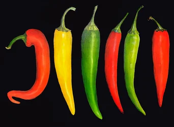 Fünf Chilis, 2024