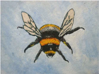 Hummel, 2015