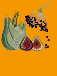 Obst & Gemüse Ausschnitt