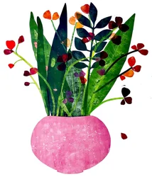 Rosa Topf