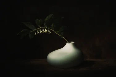Dunkles Stillleben mit zarter Blüte