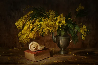 Stillleben mit goldener Mimose