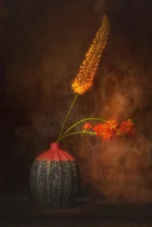 Blumenstillleben in warmen Farbtönen