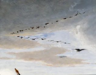 Vögel in V-Formation (Detail)