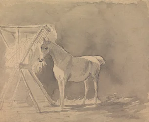 Ein Pferd beim Grasen