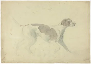 Fuchshund (recto); Skizzen von Pferd und Reiter (verso)