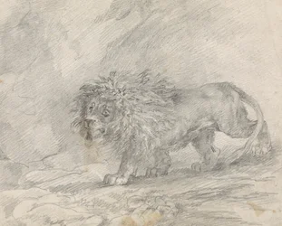 Löwe, der in felsiger Landschaft geht