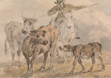 Mann auf einem Pferd, der zwei Kühe und ein Kalb hütet