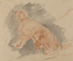 Studie eines Tigers