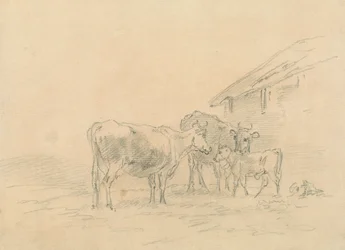 Zwei Kühe und ein Kalb