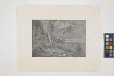 Landschaft