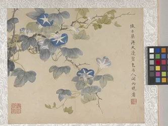 8-Blatt-Album von Blumen, Mitte 1700er