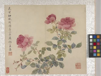 8-Blatt-Album von Blumen, Mitte 1700er