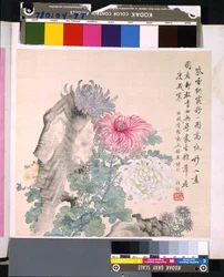 Album von Blumen und Vögeln, unbekanntes Datum