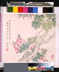 Album von Blumen und Vögeln, Datum unbekannt