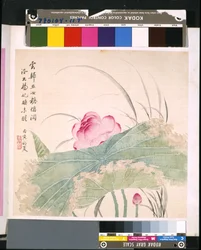 Album der Blumen und Vögel, Datum unbekannt
