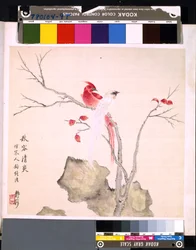 Album von Blumen und Vögeln, Datum unbekannt