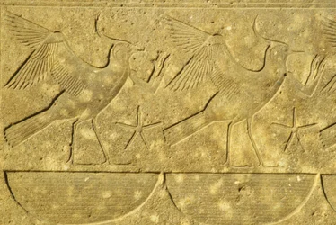 Altes Ägypten, Wandmalerei/-schnitzerei, Kiebitze, die die verschiedenen Stämme Ägyptens darstellen, Karnak-Tempel, Luxor