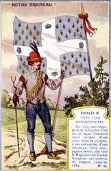 Das Banner der Musketiere von Karl IX.
