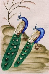 Miniaturmalerei auf Papier Pfau