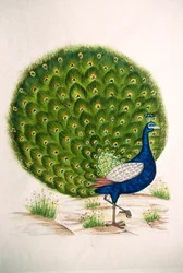 Miniaturmalerei auf Seide, Pfau