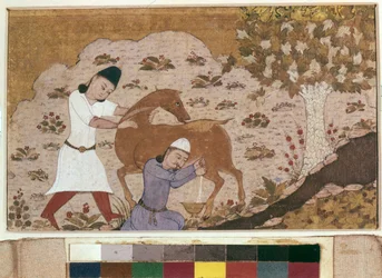 Onager-Melken, späte 15. Jahrhundert