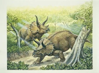 Triceratops horridus, Kreidezeit