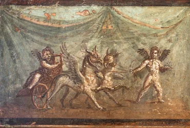 Amor und Wagen von Greifen gezogen, Herculaneum