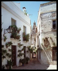Blick auf das Minarett (Glockenturm) der Großen Moschee der Omayyaden (Mezquita), jetzt Kathedrale, von der Calle de los Flores, Córdoba, Spanien