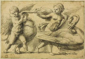 Putti spielen mit Schwänen