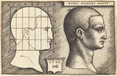 Kopf eines Mannes