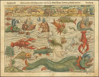 1570 Ausgabe von Sebastian Münsters Karte der Seeungeheuer