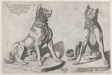Speculum Romanae Magnificentiae: Zwei Hunde