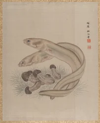 Aale, ca. 1890-92