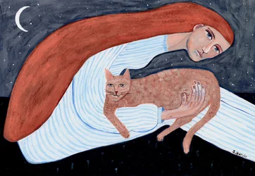 Träumerische Katzen-Nacht-Umarmung