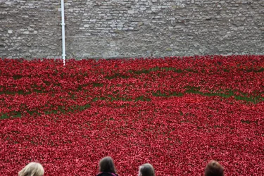 Blood Swept Lands and Seas of Red, Tower of London, 2014