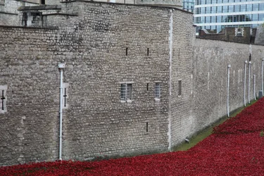 Blood Swept Lands and Seas of Red, Tower of London, 2014