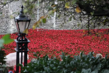 Blood Swept Lands and Seas of Red, Tower of London, 2014