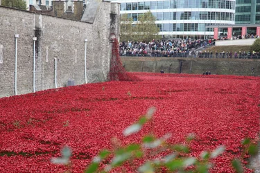 Blutüberströmte Länder und Meere aus Rot, Tower of London, 2014