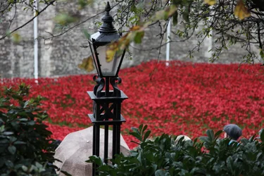 Blutüberströmte Länder und Meere aus Rot, Tower of London, 2014