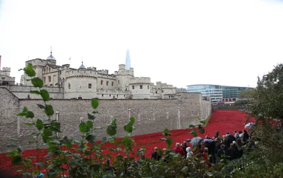 Blutüberströmte Länder und Meere aus Rot, Tower of London, 2014