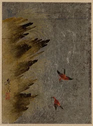 Vögel und herausragende Felsen