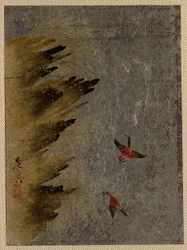 Vögel und vorspringende Felsen