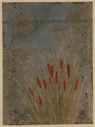 Katzenschwänze und Mond