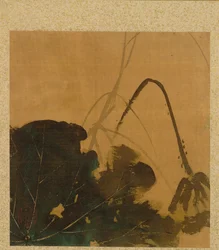 Lotus aus dem Album der Gemälde des Ehrwürdigen Zeshin