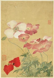 Bild aus dem Album der Blumenmalereien (Aquarell)